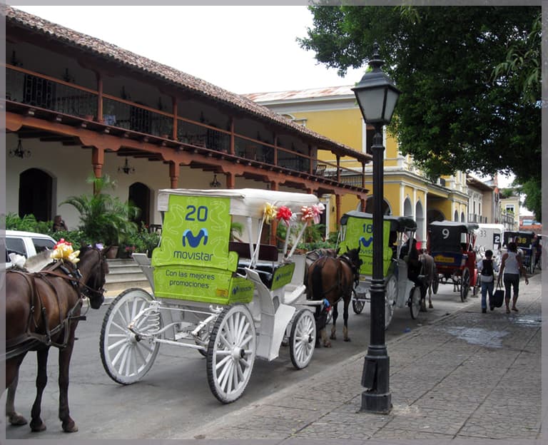 Horse Carriages in Granada