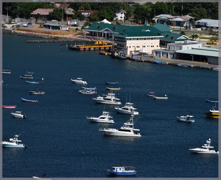 Boats in the SJDS bay